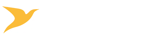 Pilot License Revalidation and Renewal - EASA | Fleet of 30+ aircraft 1 easa training